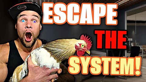 ESCAPE THE SYSTEM | HOW TO QUIT YOUR JOB AND LIVE FREE (part 1)
