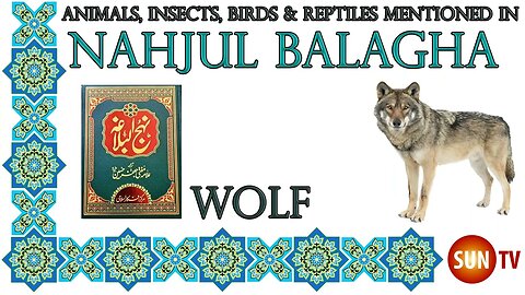 Wolf - Animals, Insects, Reptiles & Amphibians in Nahjul Balagha (Peak of Eloquence)#imamali
