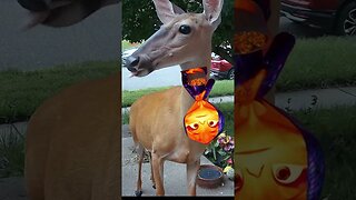 Half Of Ember Plays On A Deer! #Ember #Elemental #Fanfiction 🔥