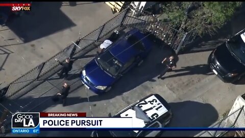 ‘Come on, Guys! He’s Right There!’ LAPD Struggles To Find A Suspect Hiding In Plain Sight