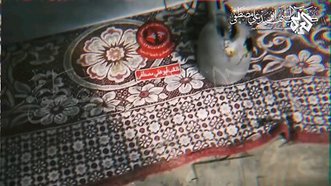 Hamas released a vedio showing an destroyed Israeli UAV and some animations captured from IDF #news.