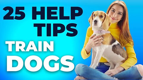 2023 25 Top Help Tips to Train your Dogs