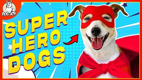 10 Super Hero Dogs that Saved People's Lives!