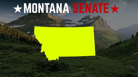 2024 Montana Senate Election Simulation