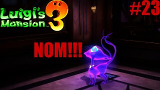 Polterkitty's Revenge!!!: Luigi's Mansion 3 #23