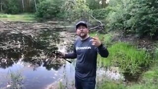 Little evening pond fishing! (Live Fishing Show)