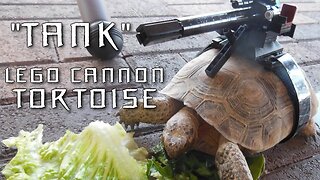 "Tank" The Tortoise With A LEGO Cannon