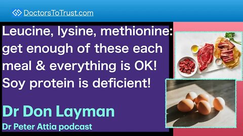 DON LAYMAN 6 | Leucine, lysine, methionine: enough of these & all is OK! Soy protein: deficient!