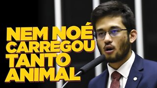 FALEI TUDO: drogas, 4b0rto, privatizações e novos deputados!