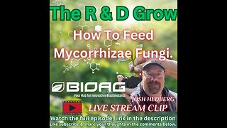 How To Feed Mycorrhizae Fungi