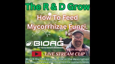 How To Feed Mycorrhizae Fungi