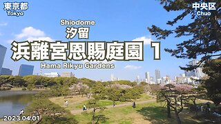 【Tokyo Walking】Knowing Hama Rikyu Gardens from Shiodome Station (1/2)