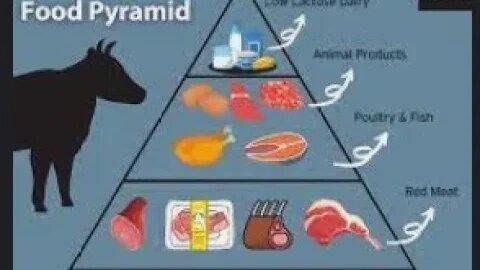 First 7 days of a carnivore diet, and my comic.