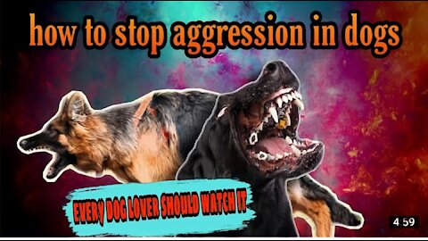 HOW TO STOP DOGS AGGRESSIVE -DOG TRANING AND REHABILITATION
