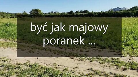 być jak majowy poranek ...