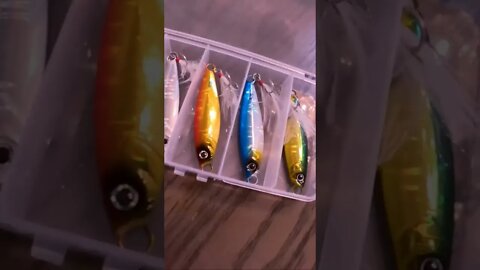 Catch monster fish using these items in surf...