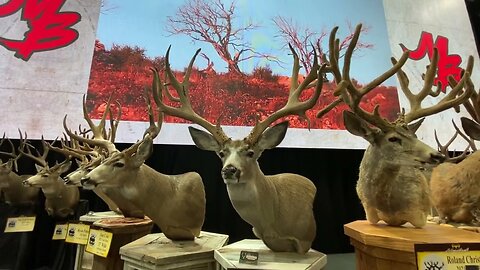 Big Mule Deer at the 2022 Western Hunting & Conservation Expo