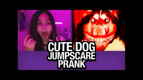 Cute Dog JUMPSCARE PRANK on Omegle!