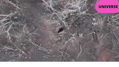 Unique shots from Ukraine: An accurate bomb: A drone bombs a Russian soldier