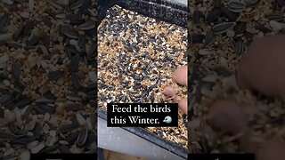 Feed the birds