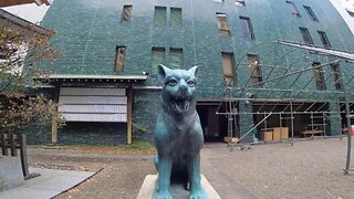 Miyama Sumitake Shrine Japanese Wolf Komainu Shibuya Station Seared Fudo. Japan travel