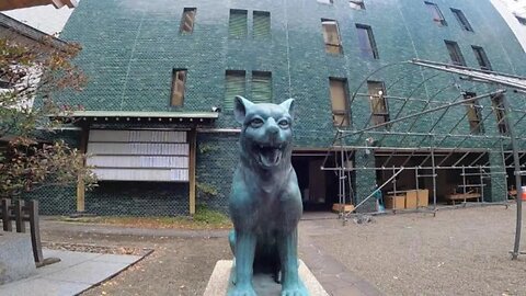 Miyama Sumitake Shrine Japanese Wolf Komainu Shibuya Station Seared Fudo. Japan travel