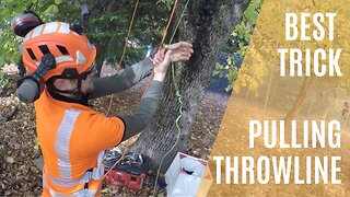 GREAT TIP FOR PULLING A STUCK THROW LINE | Climbing Arborist