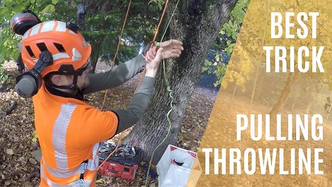 GREAT TIP FOR PULLING A STUCK THROW LINE | Climbing Arborist