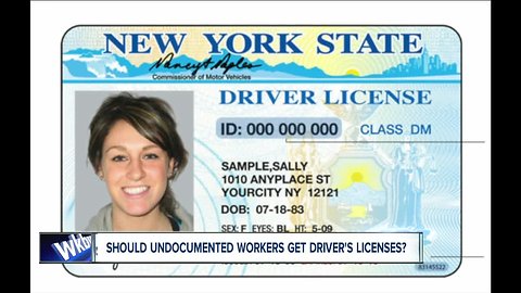 Should illegal immigrants have legal licenses?