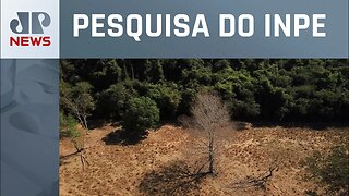 Desmatamento no cerrado bate recorde e chega a 2.133 km²