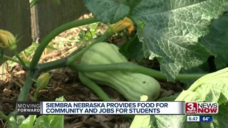 Siembra Nebraska provides food for community and jobs for students
