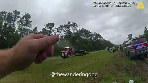 Wild video shows Georgia car flying through air during highway crash