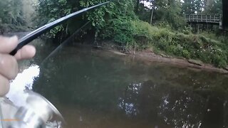 Fishing adventure 9/2/23: Nice Quiet Saturday Morning