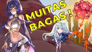 Rota eficiente de Bagas de Espinheiro | Sumeru - Genshin Impact