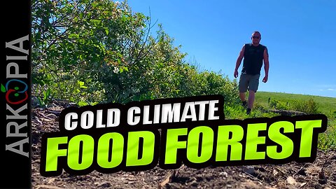 Permaculture Prepping - Cold Climate Food Forest on the prairies