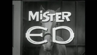 Mr Ed S1E3