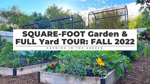 My SQUARE FOOT Garden & FULL Yard TOUR: FALL 2022