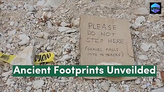 Huge Dinosaur footprints discovered in Texas