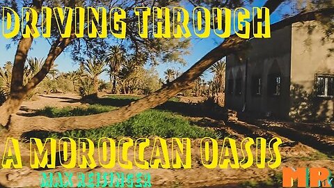 Driving Through a Moroccan Oasis?! | EPISODE 7