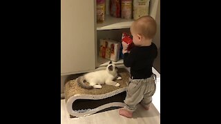 Kid gives unlimited treats to kitty best friend