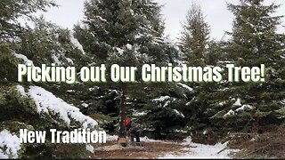 Picking out OUR Christmas Tree | New Tradition + Making Memories | Frugal Spending | Christmas Vlog