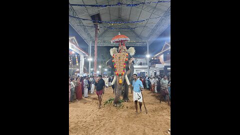 Temple Festival Celebrations In INDIA,Kerala