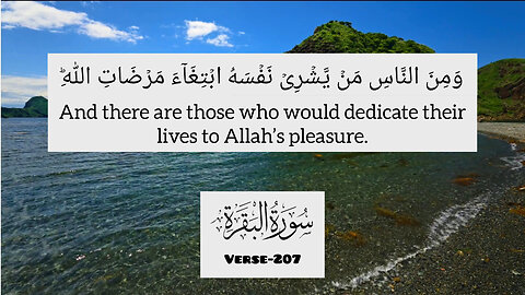 Surah Al Baqarah,Verse-207💕