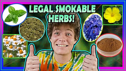 𝗧𝗼𝗽 𝟱 𝗟𝗲𝗴𝗮𝗹 𝗛𝗲𝗿𝗯𝘀 𝗳𝗼𝗿 𝗦𝗺𝗼𝗸𝗶𝗻𝗴 🌿 Marijuana Alternatives & Herbal Smoke Blends