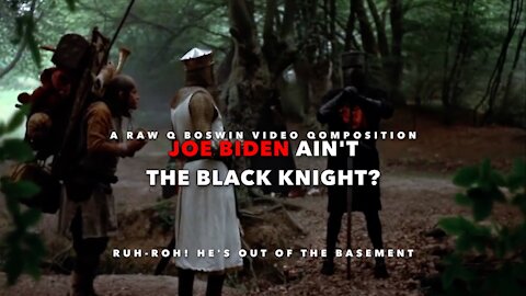 #JoeBidenAintBlack? #SleepyJoeBiden is ~ The Black Knight? ~ Don't vote #Biden2020 ~ #RAWQBoswin