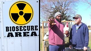 Biosecurity Tips For Introducing New Chickens To Your Flock