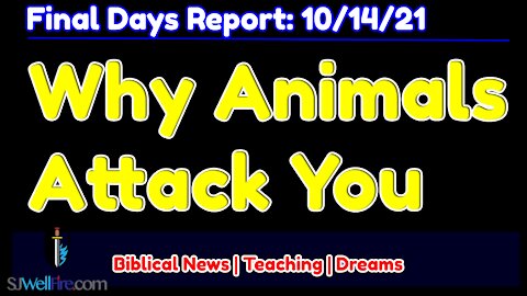 Why Animals Attack You? End Time Signs