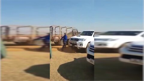 White Farmers in S. Africa Get Whipped and Have Their Cars Stolen - 2398