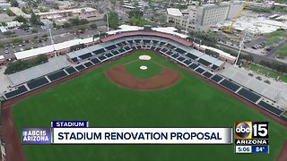 Stadium makeover proposal