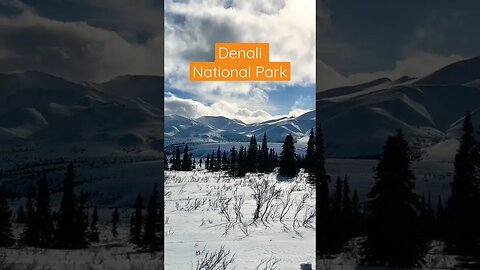 Denali National Park #denali #nationalpark #winter #alaska